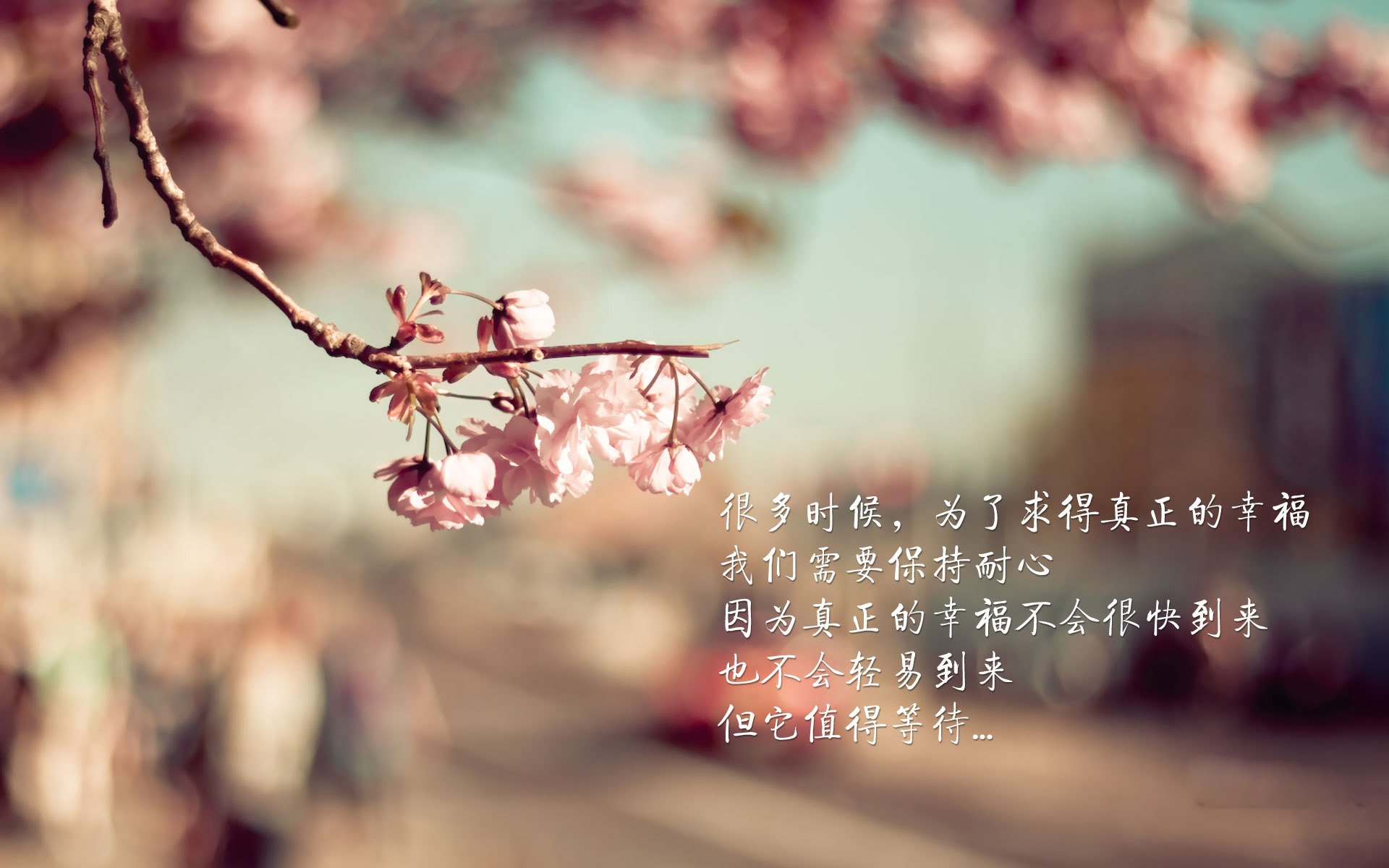 跨界巅峰之战!广厦铁血防守横扫步行者,西亚卡姆末节封神定乾坤