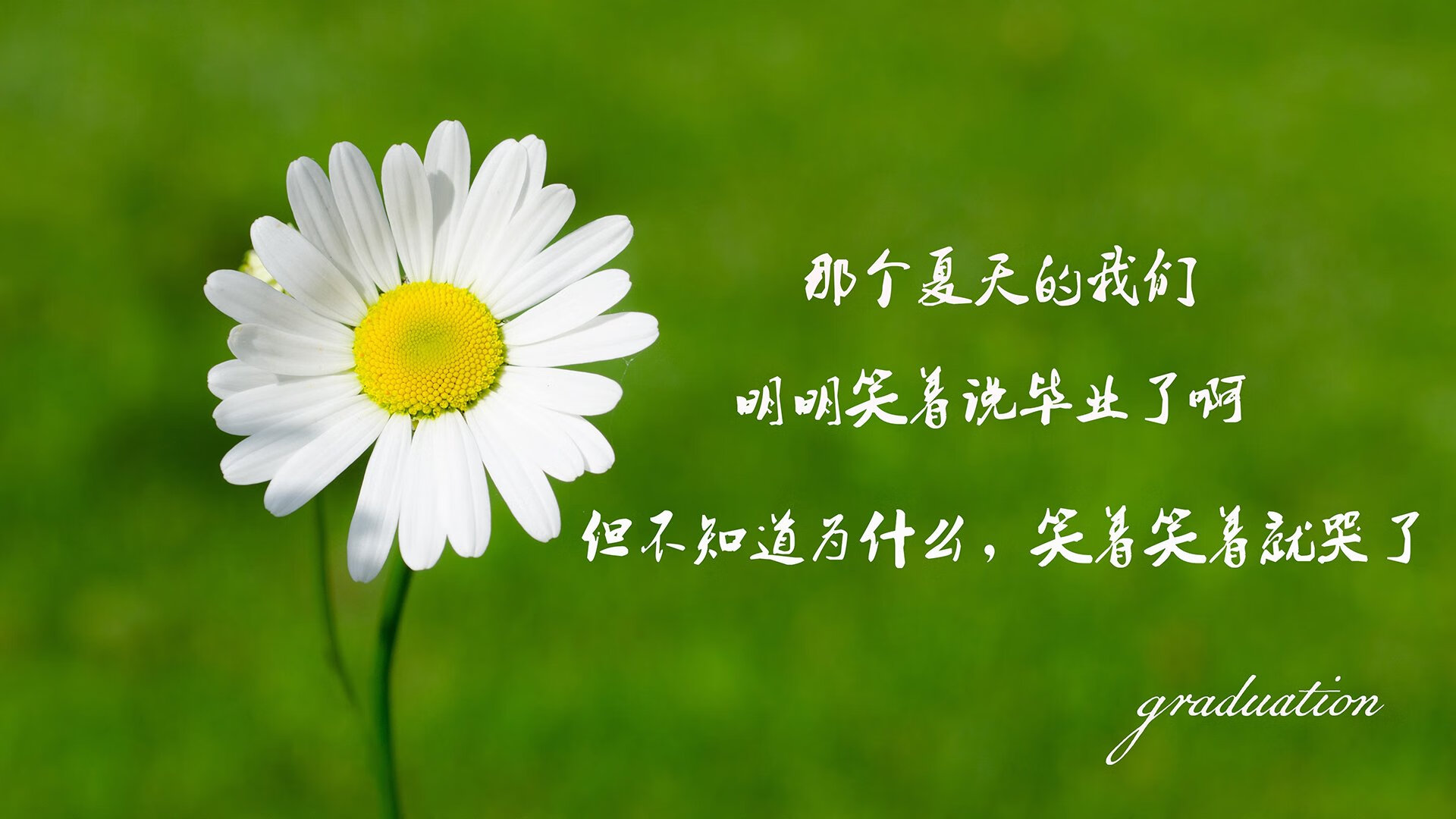 嘘声中起舞，当卡马文加在质疑风暴眼完成自我救赎