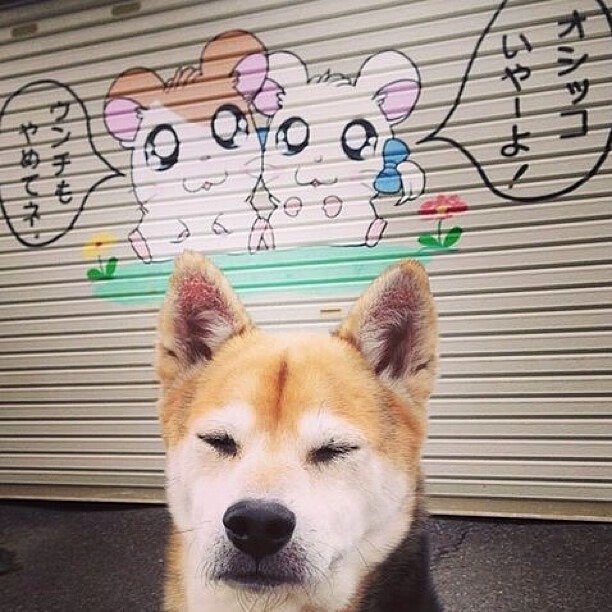 烈焰与冰封,湖人火力压制新疆队,字母哥撕裂防线成关键先生