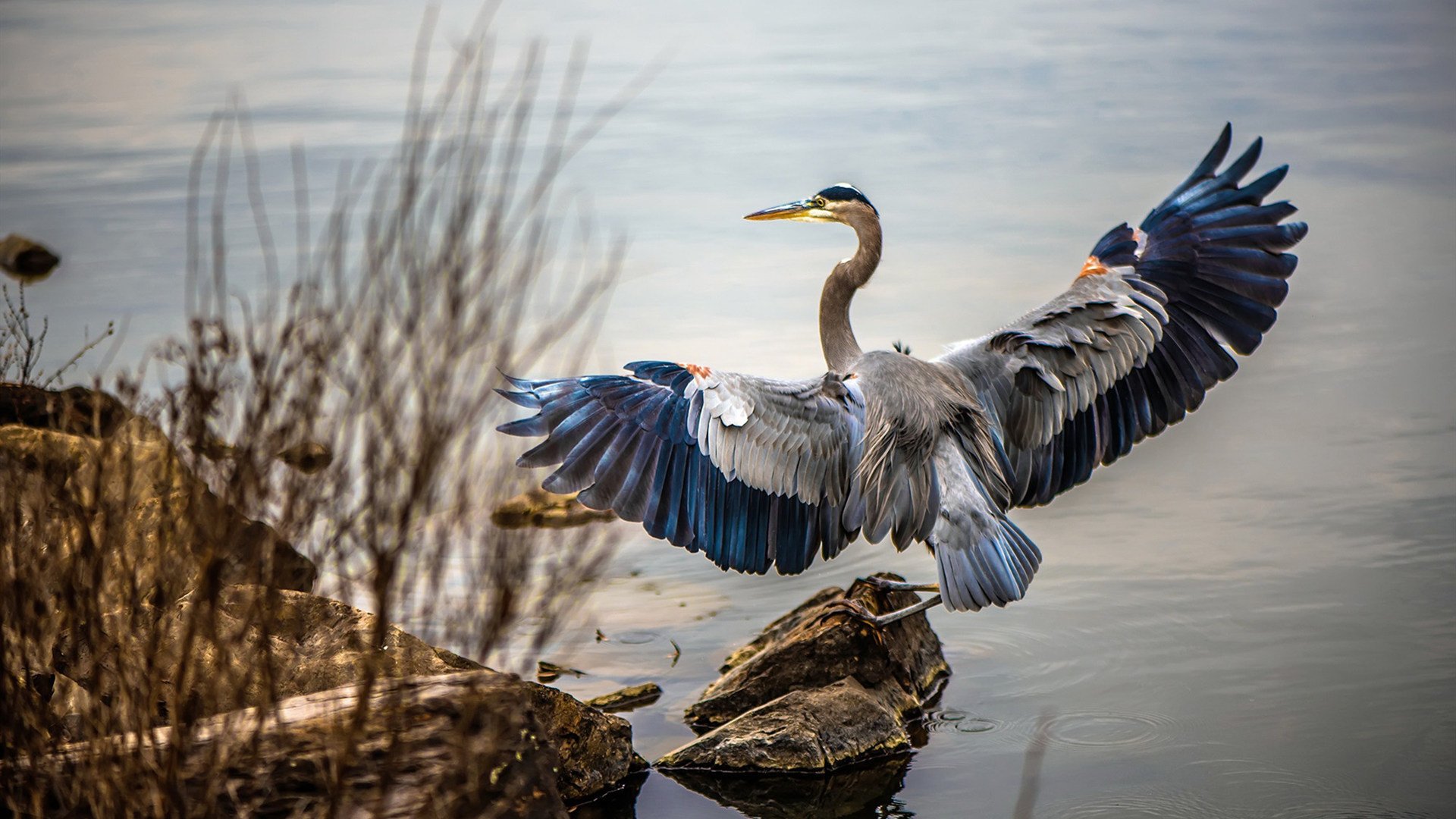 揭幕战的双重奏，F1速度盛宴与威尔士足球逆转的激情碰撞