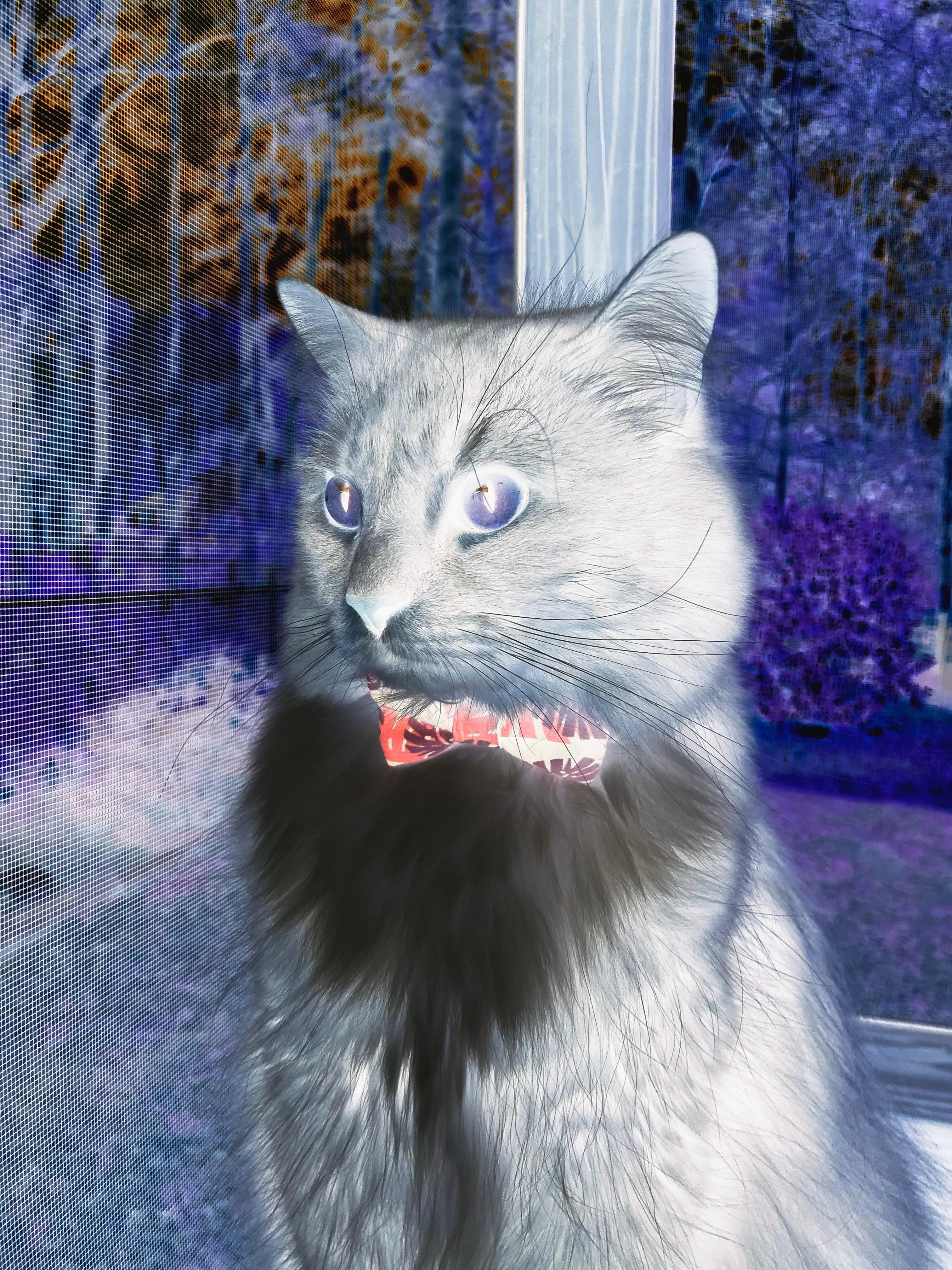 从数据刷到胜负手，浓眉如何成为步行者压制老鹰的战术密钥？