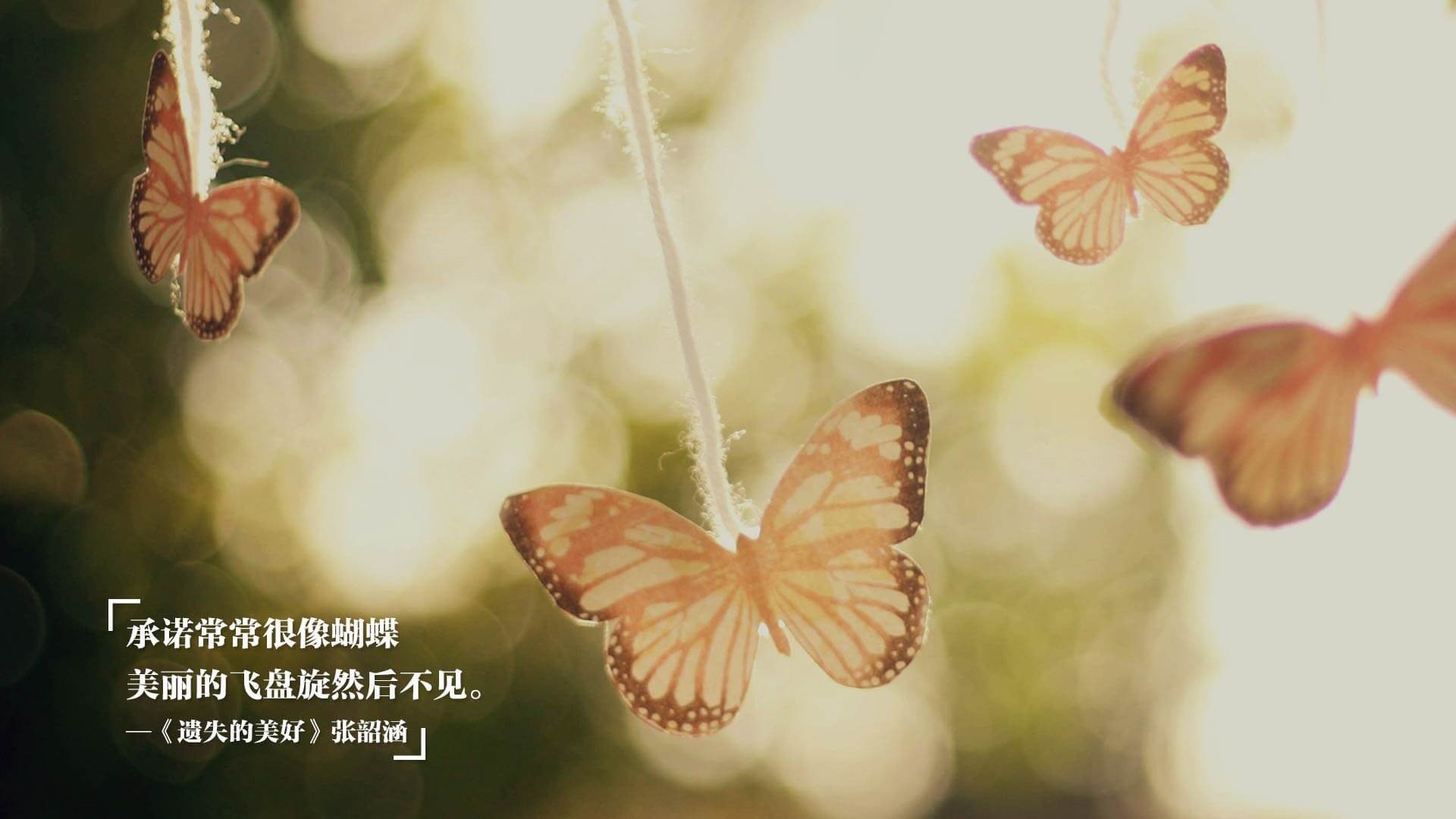 绿茵暗战，当委内瑞拉鏖战伊拉克，唯有努涅斯在风暴眼中起舞