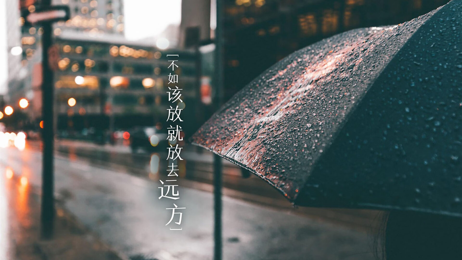 冰与火之歌，当北欧童话遇见非洲雄狮，努涅斯在2026世界杯的独白