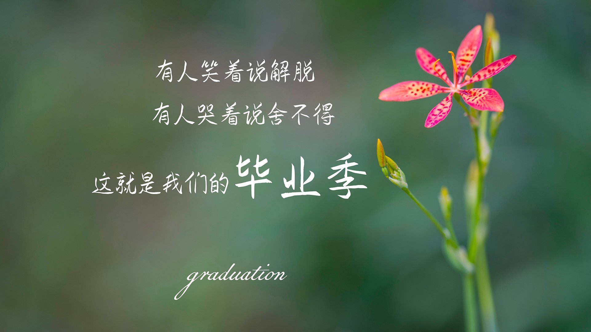 沙漠之鹰与象兵的生死时速，2026世界杯B组，迪亚斯一剑封喉，阿联酋攻守转换如潮水般淹没泰国